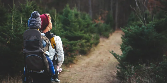 Addon Starter Image 4