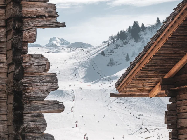 Hameau Des Bouts 28 02 23 J.cathala Ot Lgb 1