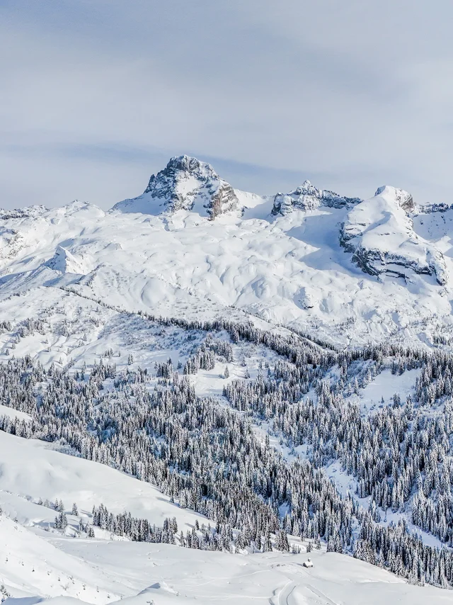 Pointe Percee M.dubost Ot Lgb