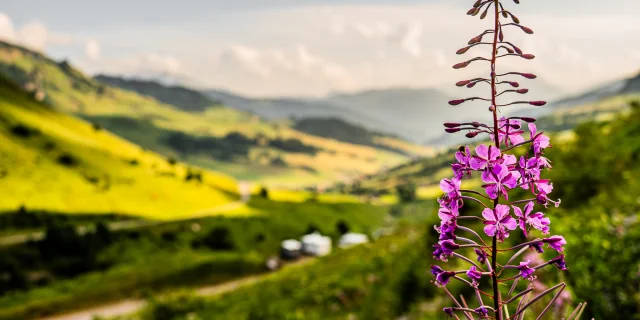 2024 Flora M.dubost Ot Lgb 6