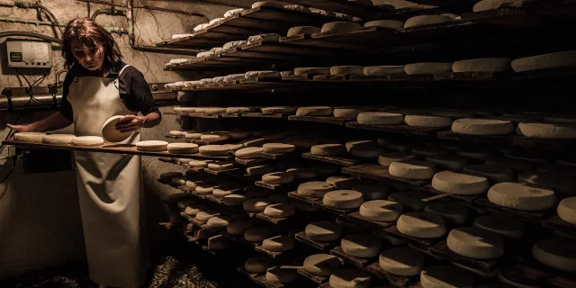 E17 195 Agriculture B.delerue Le Grand Bornand