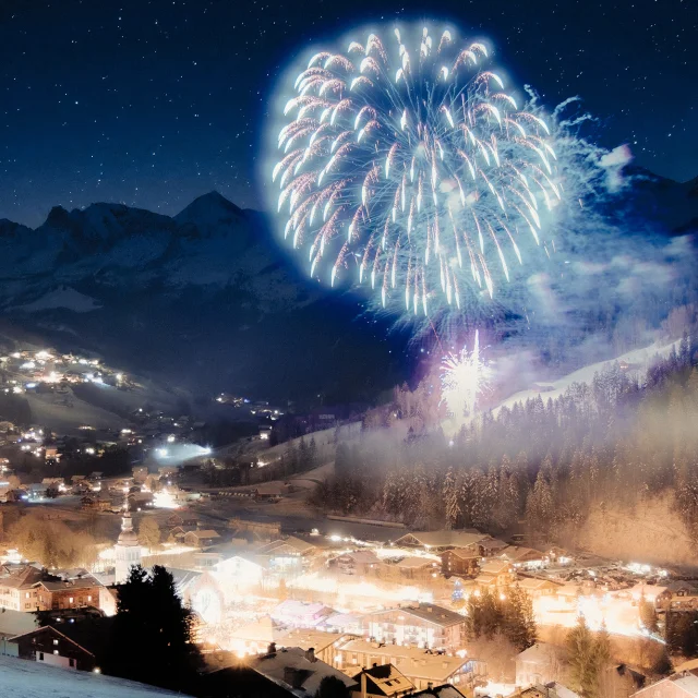 Otgb New Year┬®c.hudry 27