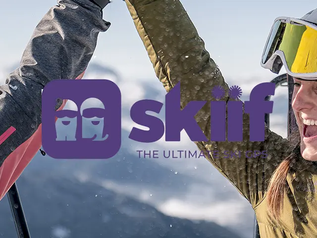 Skiif Article