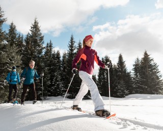 Programme sorties raquettes et  nature