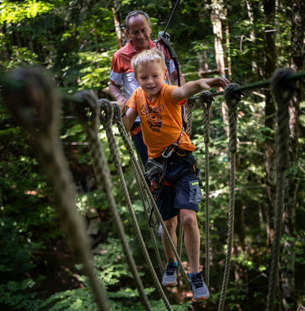 Forest adventure course