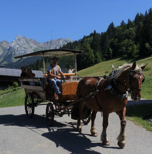 Horse-drawn carriage and sledges