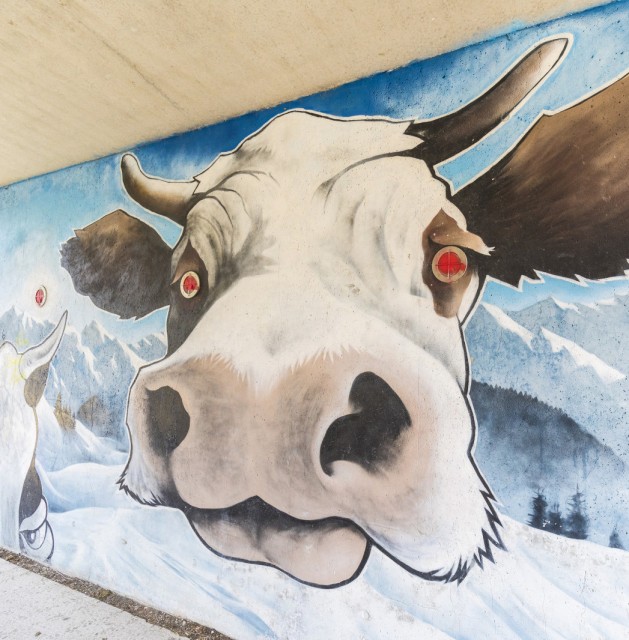 L'art vache