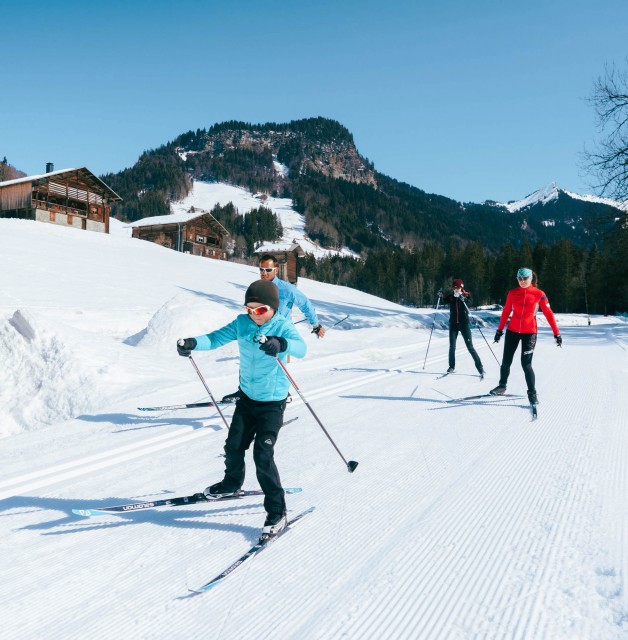 Cross-country ski lessons