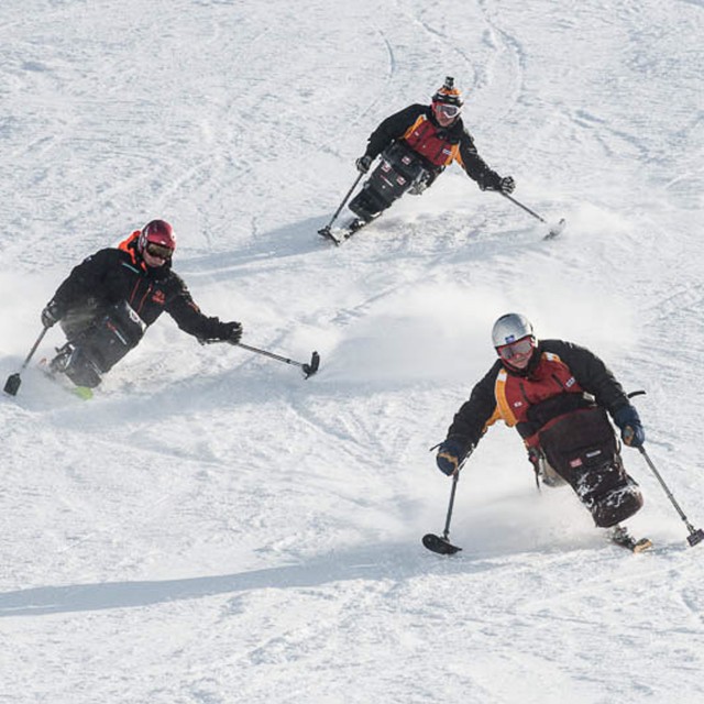 Disabled skiing