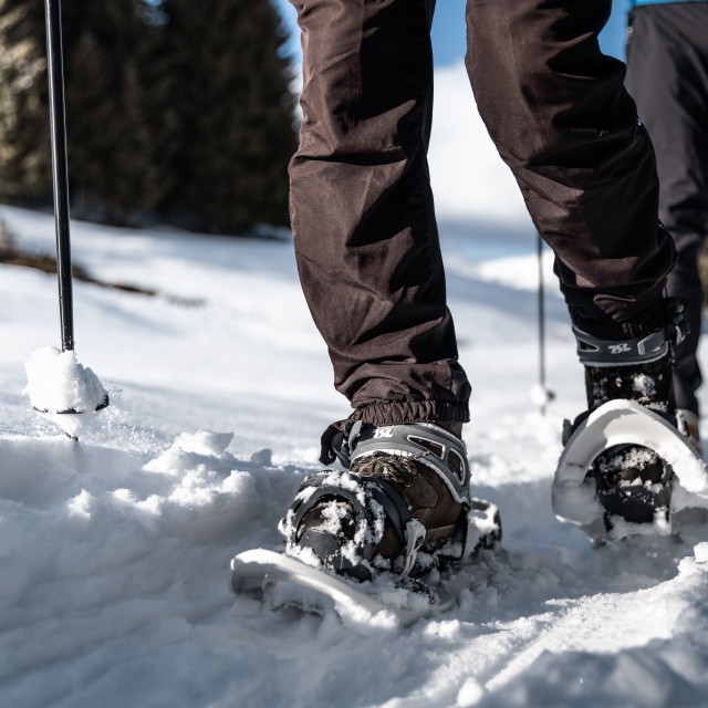 Snowshoe trails