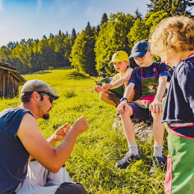 Natur-Workshops
