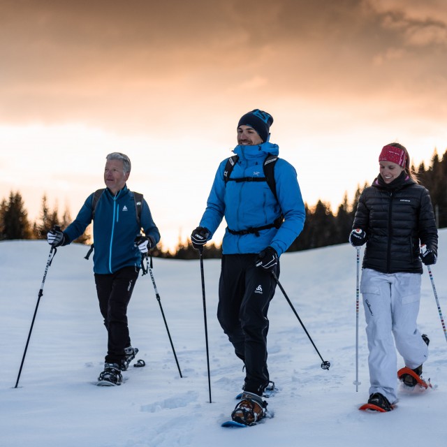 Accompanied snowshoe hikes