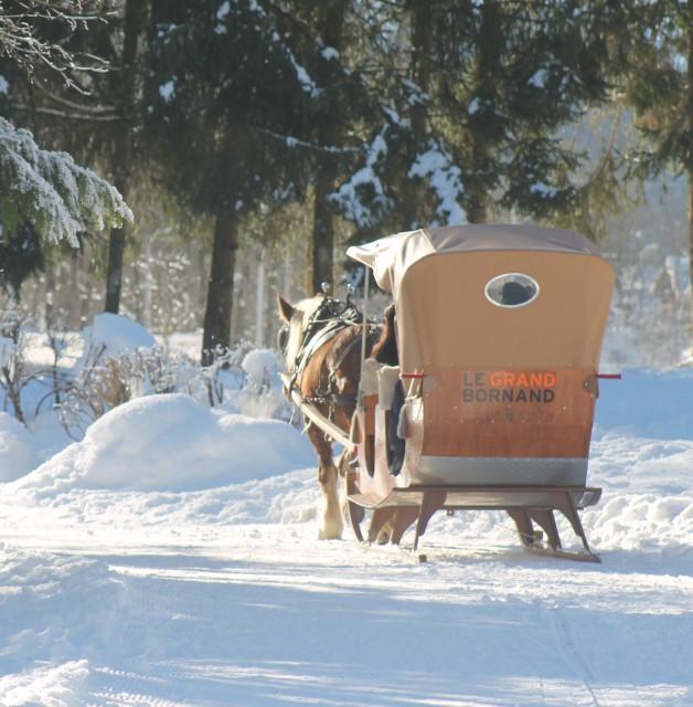 Horse-drawn carriage and sledges