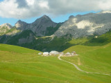 col_annes