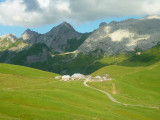 col_annes