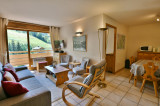 Location Aravis International