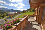 Location Aravis International6
