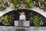 Art Vache : La Vache Fontaine