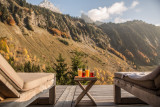 Chalet 1864