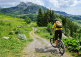 Arav'e-Bike