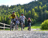 Arav'e Bike