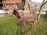Cow Art : The suckled cow