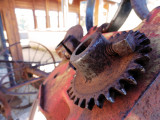 Cow Art : The Scrap Cows