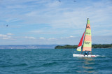 dsc08938.jpg