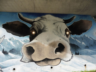 Art Vache : Les Yeux dans les Meuhs