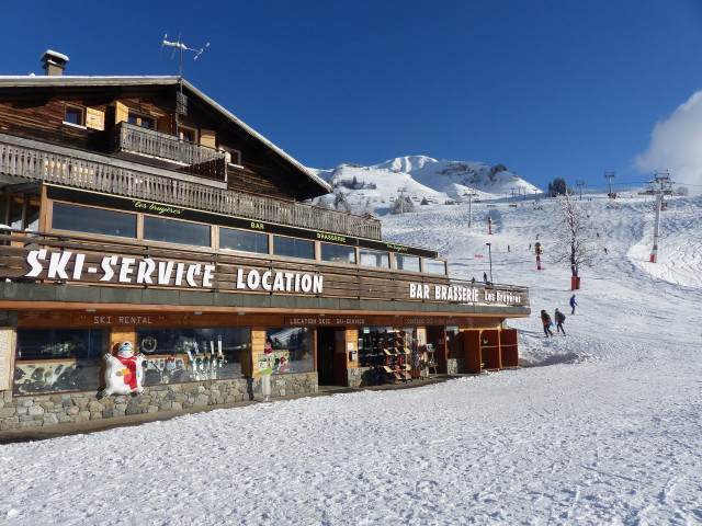 Ski Service
