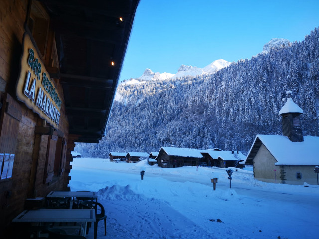 la marmotte