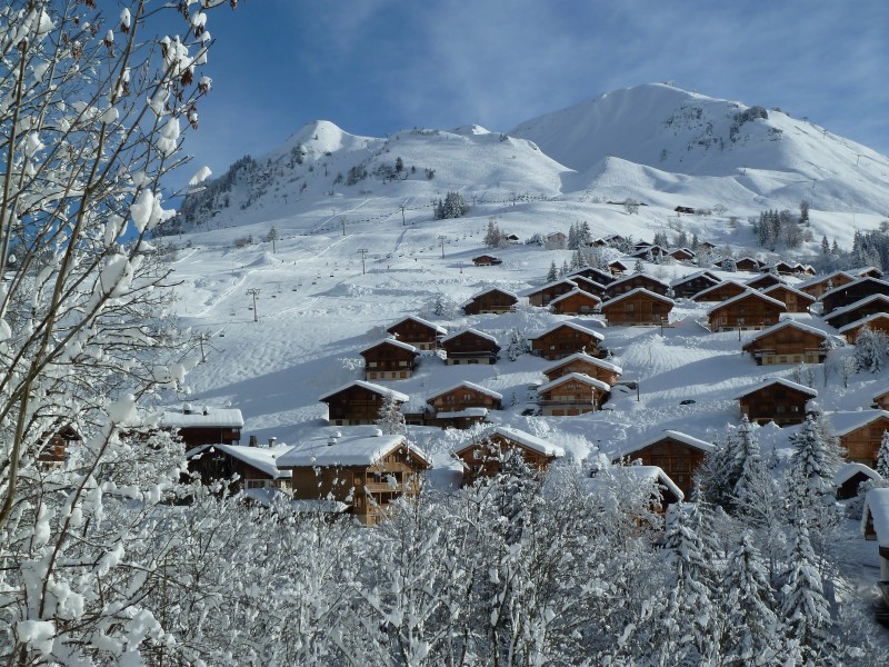 Groupement de proprétaires Au Grand-Bornand.com