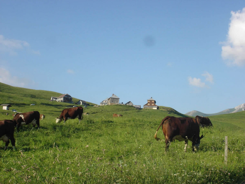Col des Annes