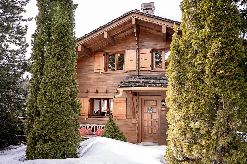 Agence immobiliere Aravis International3