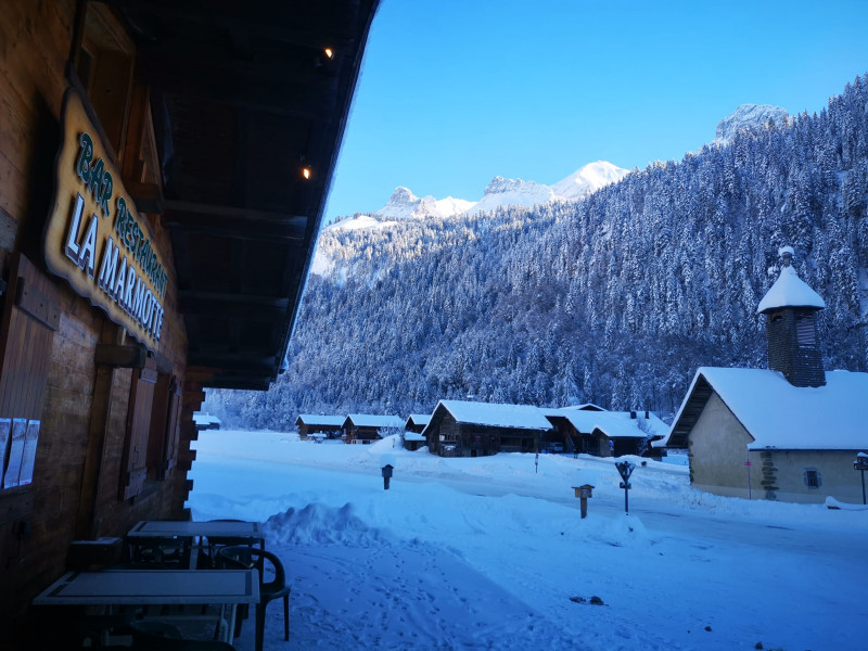la marmotte