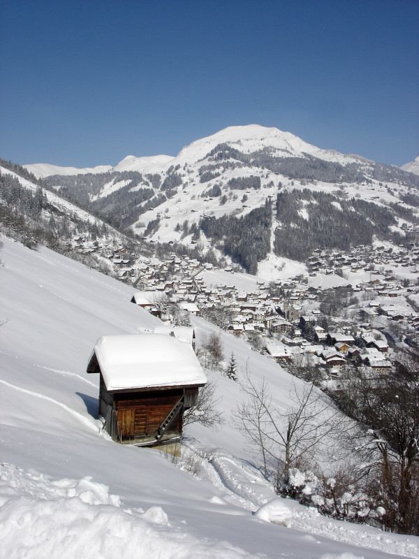 mont Lachat depuis les hauteurs du Village
