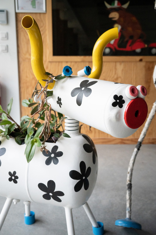 vache prairie