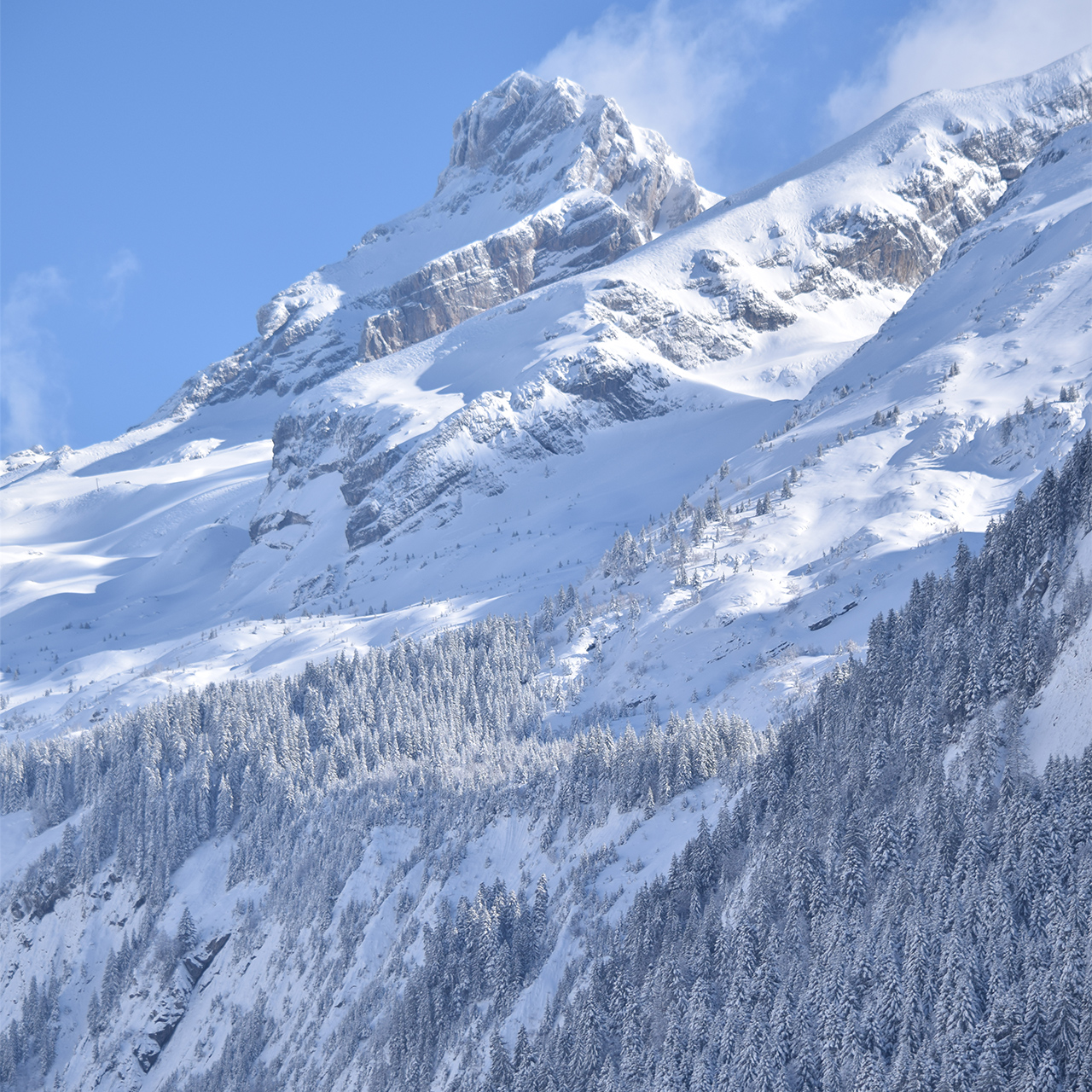 pointepercée-legrandbornand-sapins-neige-hiver-nature - © Christopher CHABOD 