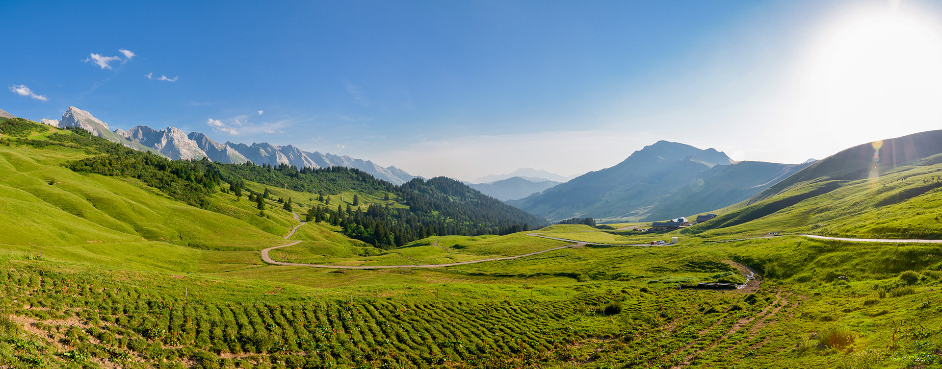 e15-dsc6311-dsc6316-paysages-d-machet-le-grand-bornand-231716 - © © D. Machet