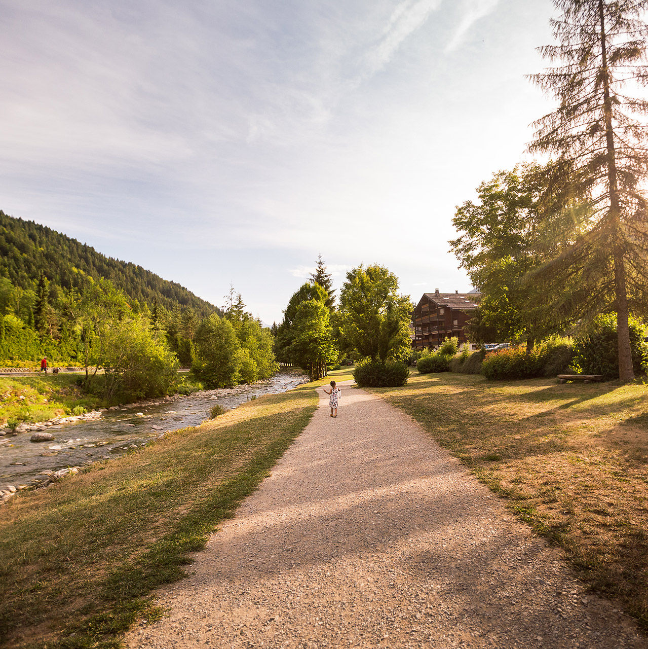 e18-008-paysages-a-amiot-le-grand-bornand-231658 - © © A. Amiot