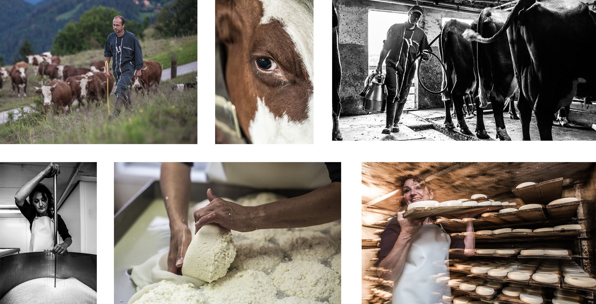 montage-photos-ferme-219198