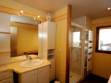 Salle de bain avec douche/Bathroom with a shower-Clé des champs (Les Gentianes)-Le Grand-Bornand