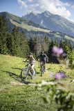 VTT électrique sortie privatisée