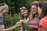 Randonnée plantes comestibles et culinaires