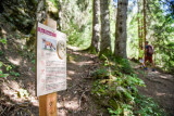 sentier de la forêt