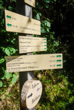 sentier de la forêt 5