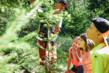 sentier de la forêt 6