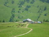 Pistes de descente VTT du Châtelet