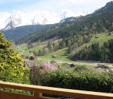 Boiseraie n°1