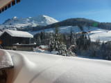 Fleur des Alpes n°5